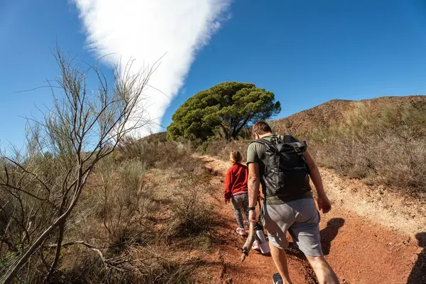 Baba ve kızı güneşli arazide yürüyüş yapıyor mavi gökyüzü ve yemyeşil.
