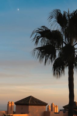 Costa del Sol 'da ay batarken palmiye ağacı ve çatılar. Yüksek kalite fotoğraf