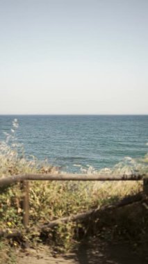 Sahil yolundan sakin bir okyanus manzarası, ön planda kır çiçekleri var. Yüksek kalite 4k görüntü