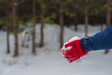 Uçan kar taneleri. Ellere kar. Karlı kırmızı eldivenler. Mutlu kış zamanları.