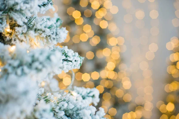 Крупный План Рождественской Елки Снегом Фоне Размытого Яркого Фона — стоковое фото