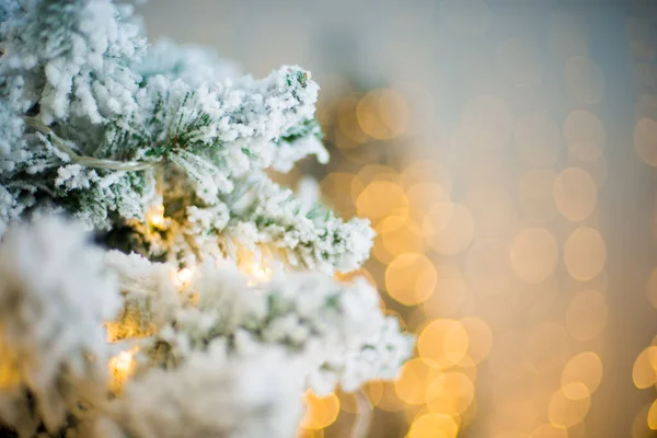 Nahaufnahme Eines Weihnachtsbaums Mit Schnee Auf Dem Hintergrund Eines Verschwommenen — Stockfoto