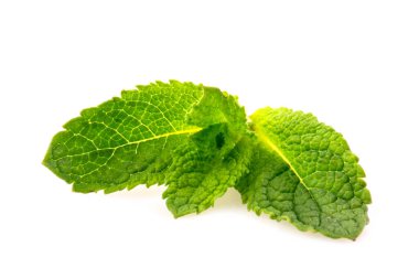 Beyaz arkaplanda izole edilmiş taze nane yaprakları.
