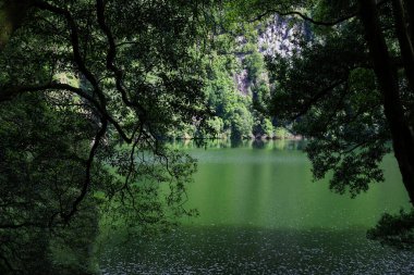 Barışçıl Lagoa Do Congro Portekiz 'in Azores adasındaki Sao Miguel adasında basit bir yürüyüşün sonunda yer almaktadır.