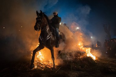 Atlısıyla birlikte Piorno 'nun alevlerinin üzerinden geçerken. Ocak gecesi İspanya 'nın Avila kentindeki San Bartolom de Pinares kasabasında düzenlenen kutlama, hayvanların arındırılması için düzenlendi.