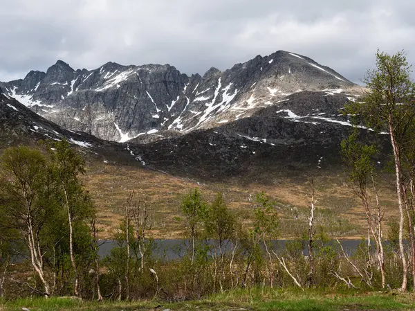 Üzerinde güneş olan dağlar, bir nehir ve önlerinde ağaçlar.