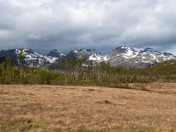 Kuzey Norveç 'in dağları ön planda küçük, seyrek ormanlarla kaplı.