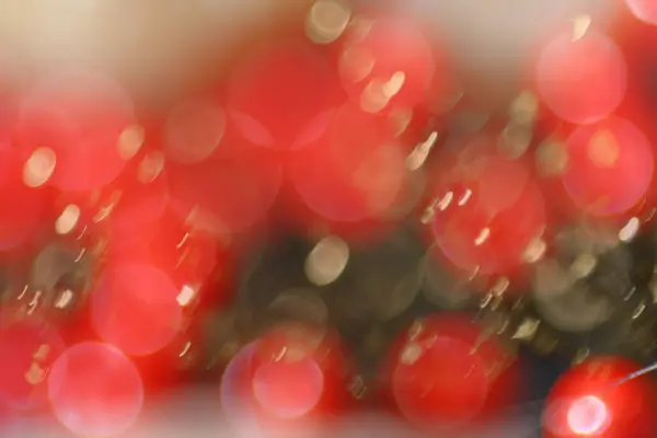 bokeh ile arka plan bulanıklık