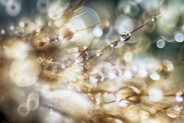 Bokeh odaklı ışıklar ve su damlalarıyla soyut arkaplan