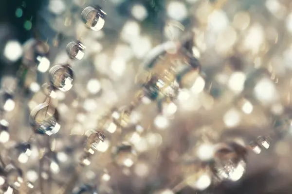Bokeh odaklı ışıklar ve su damlalarıyla soyut arkaplan