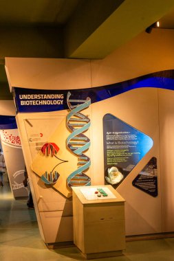 Bengaluru Karnataka Hindistan 9 Eylül 2024 Yerel turist öğrenciler ve çocuklar Bengaluru Karnataka 'daki Visvesvaraya Sanayi ve Teknoloji Müzesini ziyaret ediyor ve keşfediyorlar.