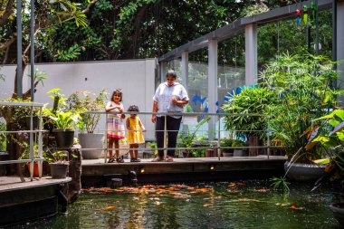 Bengaluru Karnataka Hindistan 8 Eylül 2024 çeşitli deniz yaşamı ve tatlı su balıkları Karnataka Hindistan 'daki Namma Bengaluru Akvaryumu' nda sergileniyor.