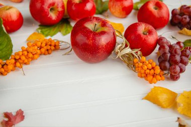 Sonbahar arkaplanı. Elma, üzüm, deniz dikenli diken hasadı. Sarı ve yeşil, kırmızı yapraklar. Beyaz arkaplanda meyveler, üst görünüm, düz yatış.