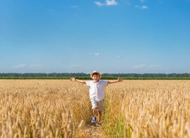 Güneşli bir günde buğday tarlasında küçük bir çocuk, kolları açık buğday tarlasının üzerinde. Temiz hava, özgürlük kavramı, neşe, çocukluk.