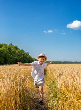 Güneşli bir günde kollarını buğday tarlasına uzatmış mutlu bir çocuk. Çocukluk, özgürlük ve yaz konsepti