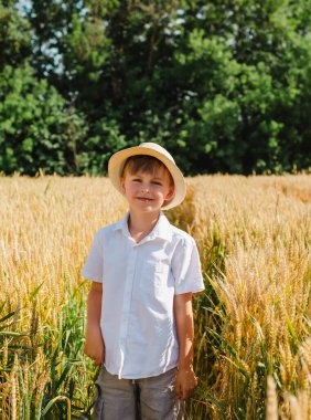 Güneşli bir günde kollarını buğday tarlasına uzatmış mutlu bir çocuk. Çocukluk, özgürlük ve yaz konsepti