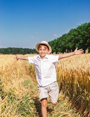 Güneşli bir günde buğday tarlasında küçük bir çocuk, kolları açık buğday tarlasının üzerinde. Temiz hava, özgürlük kavramı, neşe, çocukluk.