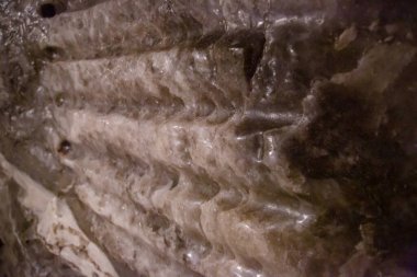 WIELICZKA, POLAND - 30 Haziran: Wieliczka ve Bochnia kraliyet tuz madenlerinin iç görünümü, tuz duvarları ve tavan, yapay ışıklarla loş aydınlatma