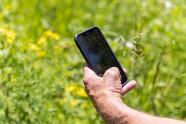 Adam elinde akıllı bir telefon tutuyor ve sahadaki bitkileri mobil uygulama kullanarak tanımlıyor. Seçici odak