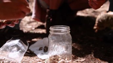 Bitkibilimci yavaş hareket ediyor. Kurumuş otları titizlikle cam bir kavanoza koyuyor ve organik malzemeler kullanarak doğal tıp hazırlama sanatını yakalıyor. Seçici odak