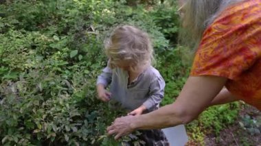 Bir kadın ve bir çocuk ormanda çiçek topluyor. Seçici odak