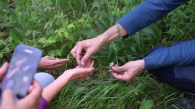 Bitki bilimci yabani bir çiçeği tanımlayıp toplarken bir öğrenci yavaş çekimde doğa ve eğitimi gözler önüne seriyor. Seçici odak
