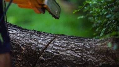 Elektrikli testereler bir ev inşa etmek ve odun yapmak için ormandaki ağaçları keser. Ormanların tahrip edilmesi kavramı.