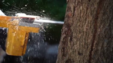 Elektrikli testereler bir ev inşa etmek ve odun yapmak için ormandaki ağaçları keser. Ormanların tahrip edilmesi kavramı.