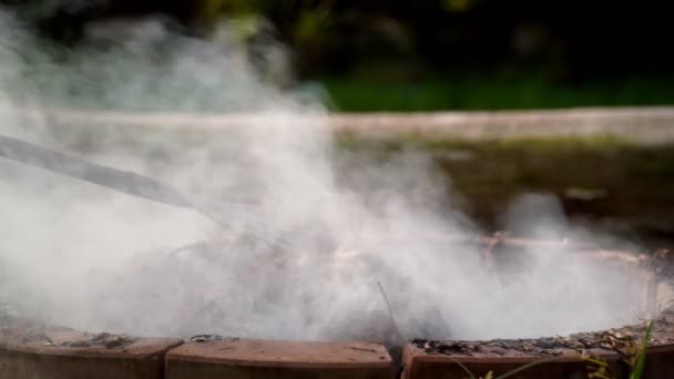 Ogień Ognisty Zbliżenie Płomieni Płonących Ogrodzie Biały Dym Płonących Liści — Wideo stockowe