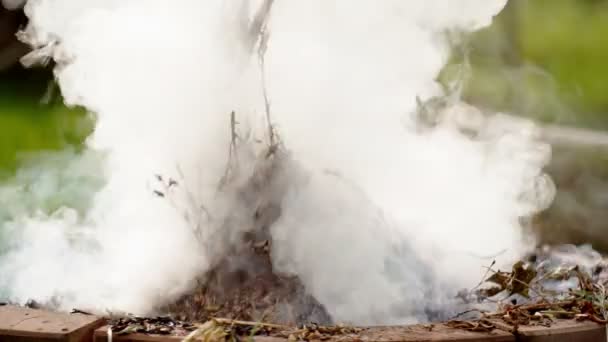 Oheň Detailní Záběr Plamenů Hořících Zahradě Bílý Kouř Pálení Listí — Stock video