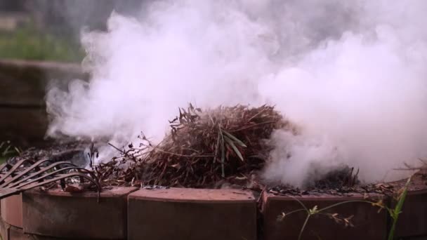 在花园里燃烧着的火苗的特写镜头 燃烧树叶产生的白烟使生物堆肥 — 图库视频影像