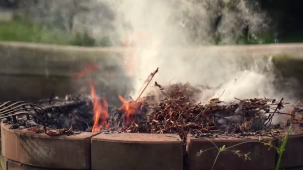 Ogień Ognisty Zbliżenie Płomieni Płonących Ogrodzie Biały Dym Płonących Liści — Wideo stockowe