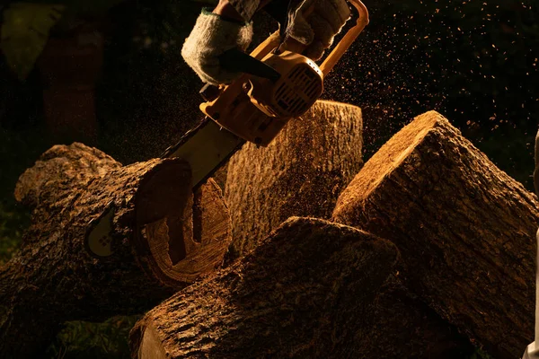 Elektryczne Piły Łańcuchowe Ścięte Drzewa Lesie Budowy Domu Produkcji Drewna — Zdjęcie stockowe