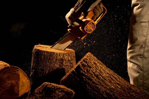 电锯在森林里砍树造屋生柴毁林的概念 — 图库照片