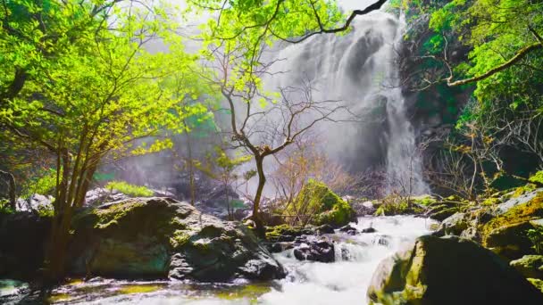 Водоспад Горах Халг Лань Вотерфолл Національний Парк Халг Лань Камфаенг — стокове відео