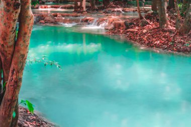 Hot Springs Onsen Doğal Hamamı kırmızı-sarı yapraklarla çevrilidir. Sonbahar yaprakları arasında Şelale yaprakların arasında yaprakların rengi değişir.