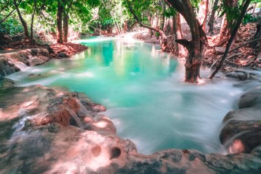 Hot Springs Onsen Natural Bath is Surrounded by red-yellow leaves. In fall leaves, Waterfall among many foliages, In fall leaves Leaf color change