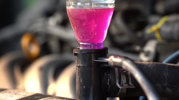 Pink Coolant Car Radiators Cars Heat Smoke Car Room Due — Stock Video