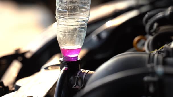 Pinkfarbenes Kühlmittel Für Auto Heizkörper Autos Heizen Sich Auf Rauch — Stockvideo