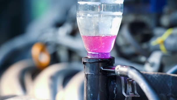 Kühler Füllen Rosa Kühlmittel Für Auto Heizkörper Autos Heizen Sich — Stockvideo