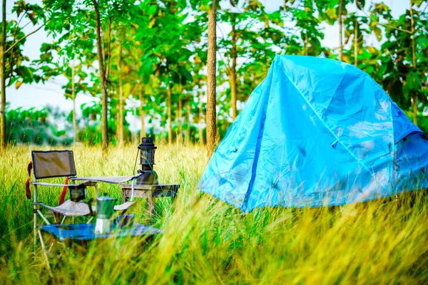 Tente Bleue Milieu Champ Jaune Dans Forêt Avec Des Arbres — Photo