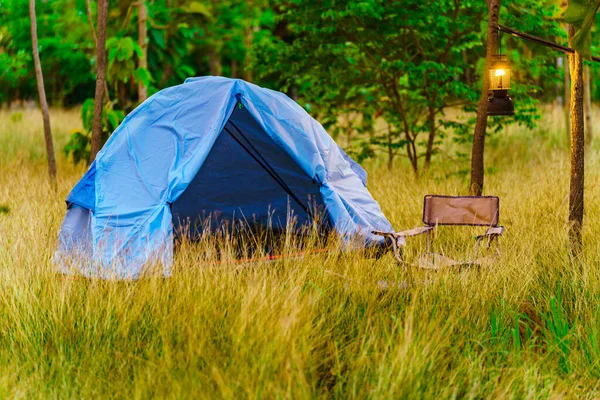 Tente Bleue Milieu Champ Jaune Dans Forêt Avec Des Arbres — Photo