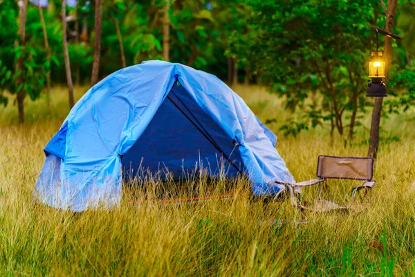 蓝色帐篷在森林中的黄色田野中间 绿树成荫 有选择的焦点 柔和的焦点 — 图库照片