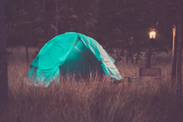 蓝色帐篷在森林中的黄色田野中间 绿树成荫 夜间在森林里露营 有选择地集中注意力 软弱无力地集中注意力 — 图库照片