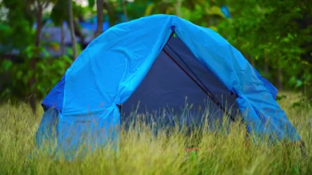 Tenda Blu Mezzo Campo Giallo Nella Foresta Con Alberi Verdi — Video Stock
