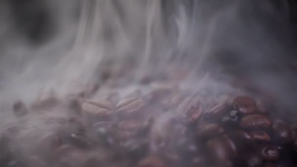 Kávébab Pörkölés Füsttel Szelektív Fókusz Lágy Fókusz — Stock videók