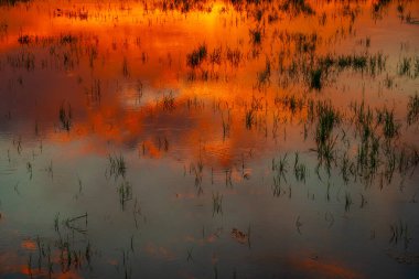 Tayland kırsalında turuncu gün doğumu