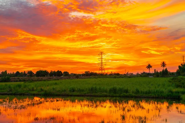 Hochspannungsmast Orange Sonnenaufgang Hintergrund Den Ländlichen Feldern Von Thailand — Stockfoto