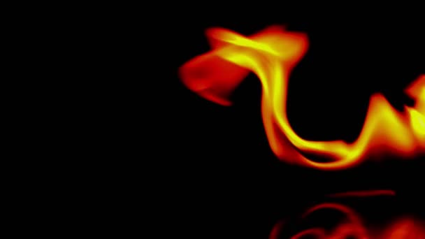 4K火焰的燃烧力 火焰和燃烧火花的特写 火的图案 黑暗中的火光 — 图库视频影像