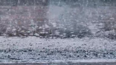 Heavy rain fell on the roads, causing a lot of flooding.